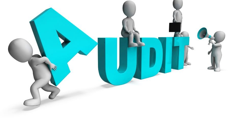 Special Audits